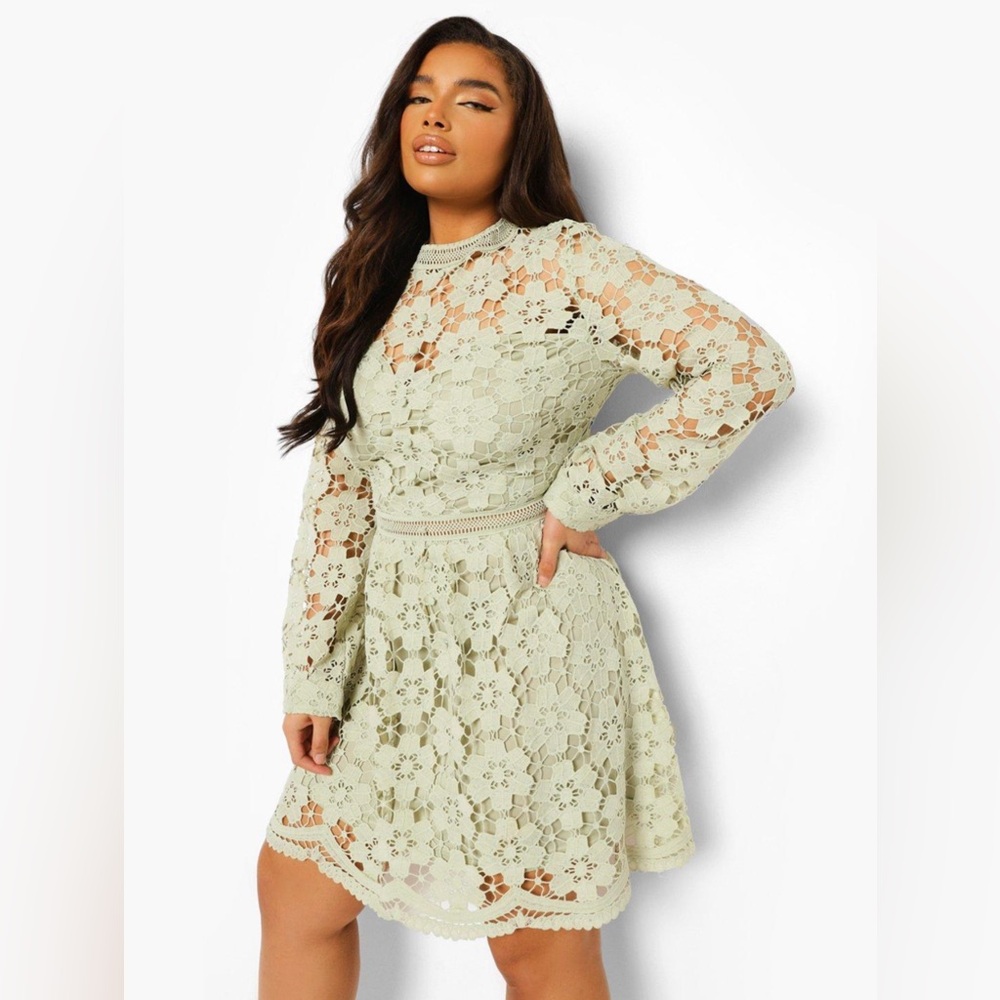 Boohoo Curve Pale Green GUIPURE LACE SKATER DRESS